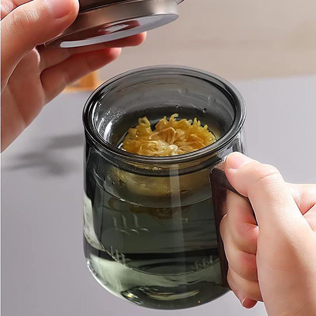 Smoky Grey Borosilicate Glass Mug With Infuser, Walnut Lid and Handle 500 ML