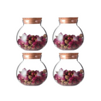 Bình thủy tinh borosilicate có nắp tre kín khí