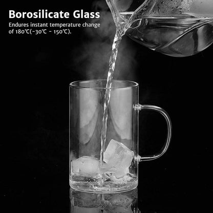 Borosilicate Glass Tea Cup with Stainless Steel Infuser 500 ML